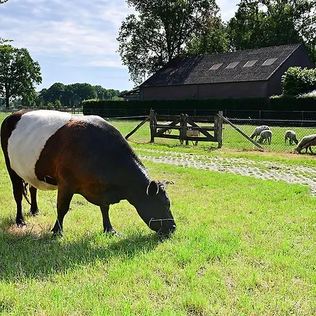 De Lakenvelder B&B Eersel-2