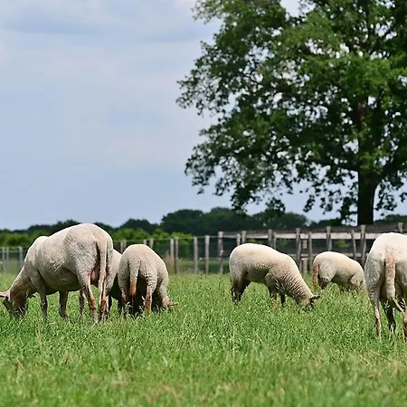 De Lakenvelder B&B Eersel-3